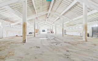 Hale 1800 mp fiecare – acces autostradă, Teiu, HD - Poză 4