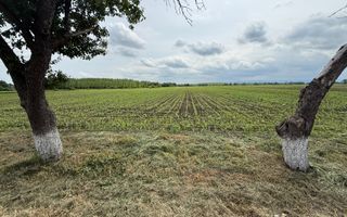 Teren extravilan de vânzare | Satu Mare, județul Suceava | 3.750 mp - Poză 2