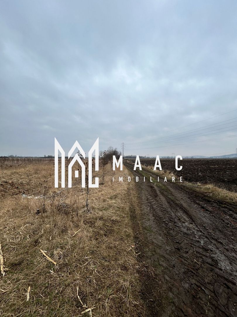 Teren extravilan  1800mp I Zona Gusterita - Poză 2