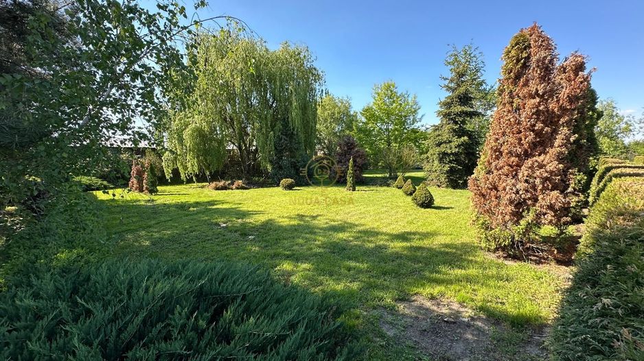 De vanzare Teren 20000MP cu sere/solarii și plantații - Poză 12