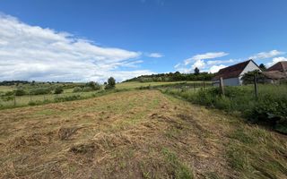 Teren intravilan 1750 mp | Hamba, Sibiu | utilități pe teren - Poză 3