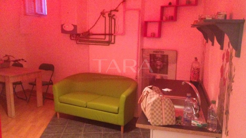 Apartament unic, Ultracentral, curte interioară – zona Casa de Cultura - Poză 2