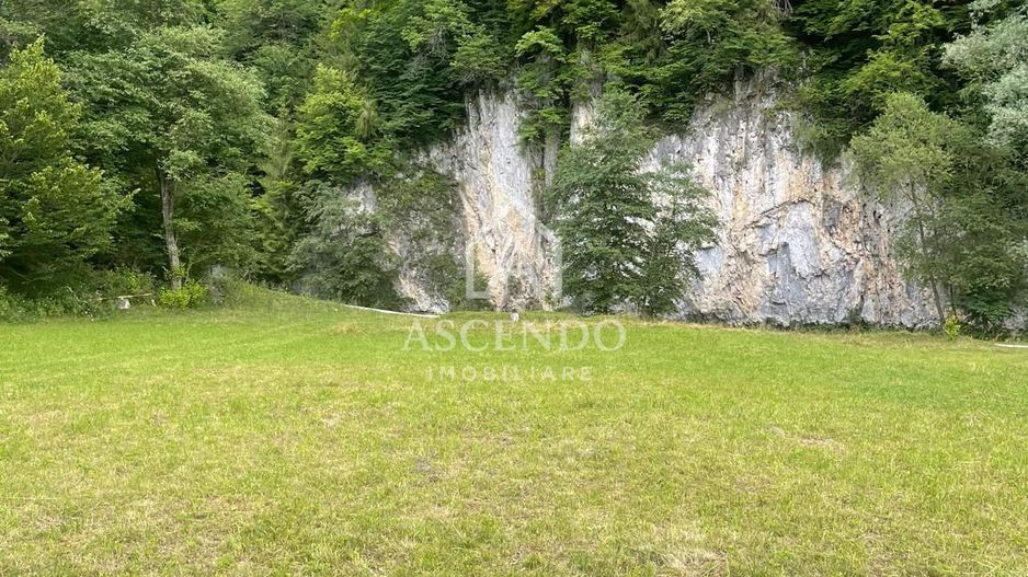 Teren pentru investiție turistică în Dâmbovicioara – Baranga | 4.500 mp | Front ~102 ml - Poză 17