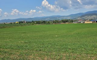 Teren intravilan industrial, 21300 mp, deschidere 77 mp, Vintu de Jos - Poză 5
