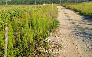 Teren extravilan 500 mp I Șelimbăr I Zonă în dezvoltare I Acces privat - Poză 3