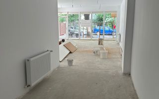 Vila noua, metrou Jiului - Poză 15