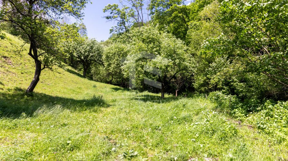 Moieciu de Jos |Teren 11.381 mp | Panoramă, potențial turistic - Poză 17