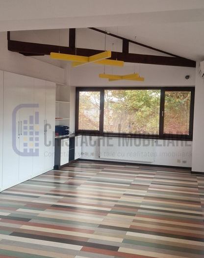 Vila P+2, suprafata 380 mp, Principatele Unite, Piata Unirii - Poză 4