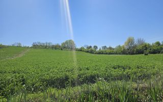 Vanzare teren intravilan, Calinesti, toate utilitatile - Poză 4