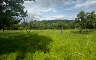 TEREN INTRAVILAN 4600 MP, VOINESTI, LERESTI, ARGEȘ - Poză 15