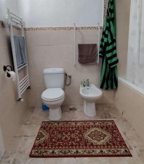 CASA RECAS CU 1438 MP TEREN - Poză 8