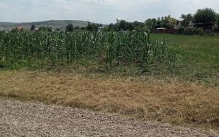 Teren intravilan de vânzare în Războieni, comuna Ion Neculce, Iași - Poză 4