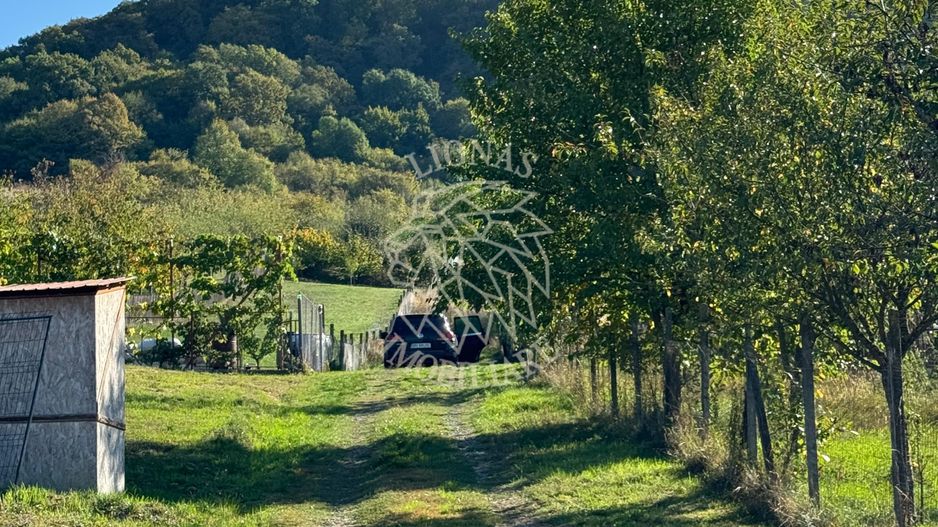 Parcele 500/600 mp-intravilan-utilitati-panoramic-Valea Ghinzii - Poză 8