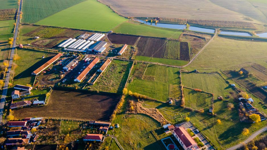 Teren agricol 130 ha Cruceni - Poză 4