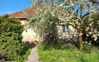 Ag EUROPA vinde casa cu 4 camere si teren de 60 ari in Ambud. - Poză 4