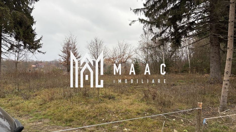 Teren intravilan | 2.000 mp |  Valea Avrigului - Poză 3