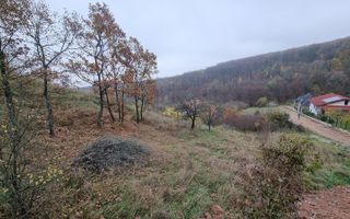 Teren de vânzare în Alba Iulia, judet Alba - Poză 2