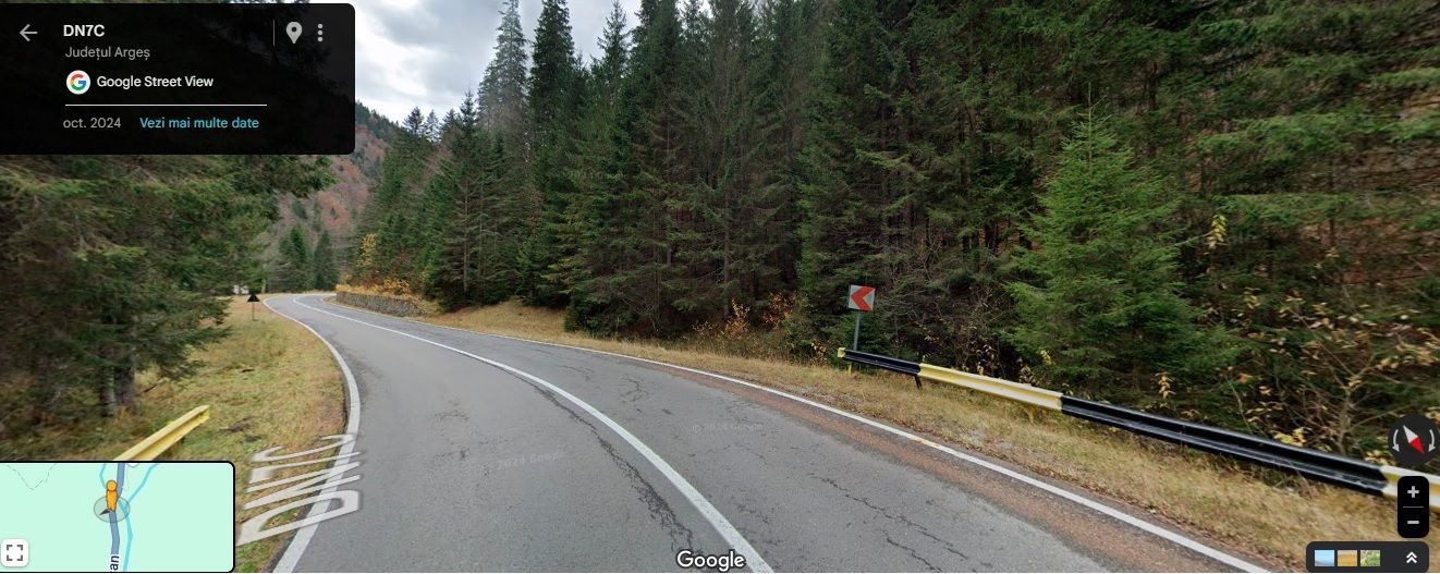 TEREN EXTRAVILAN PADURE PISCUL NEGRU ARGES - Poză 1