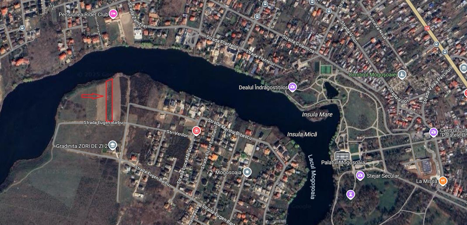 Teren 4000mp Mogosoaia|Strada Eugen Barbu|deschidere lacul Mogosoaia - Poză 2