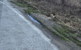 Teren de inchiriat | 20,088 ha | Sacadat | Bihor - Poză 4