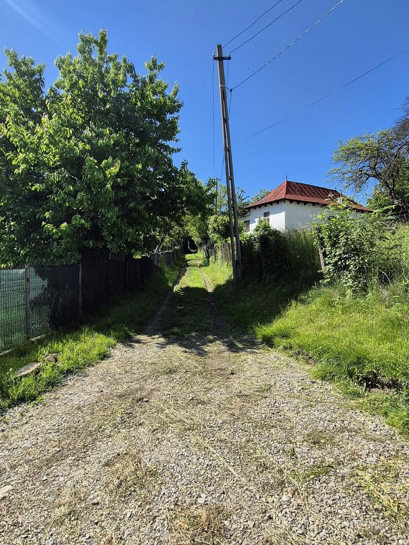 Teren intravilan 1290 mp Plaiu-Provita de Sus - Schiță 16