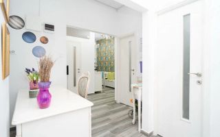 Spațiu Comercial prin Destinație, 60 mp, Lux, Zona Galata-Lidl, Iași - Poză 1