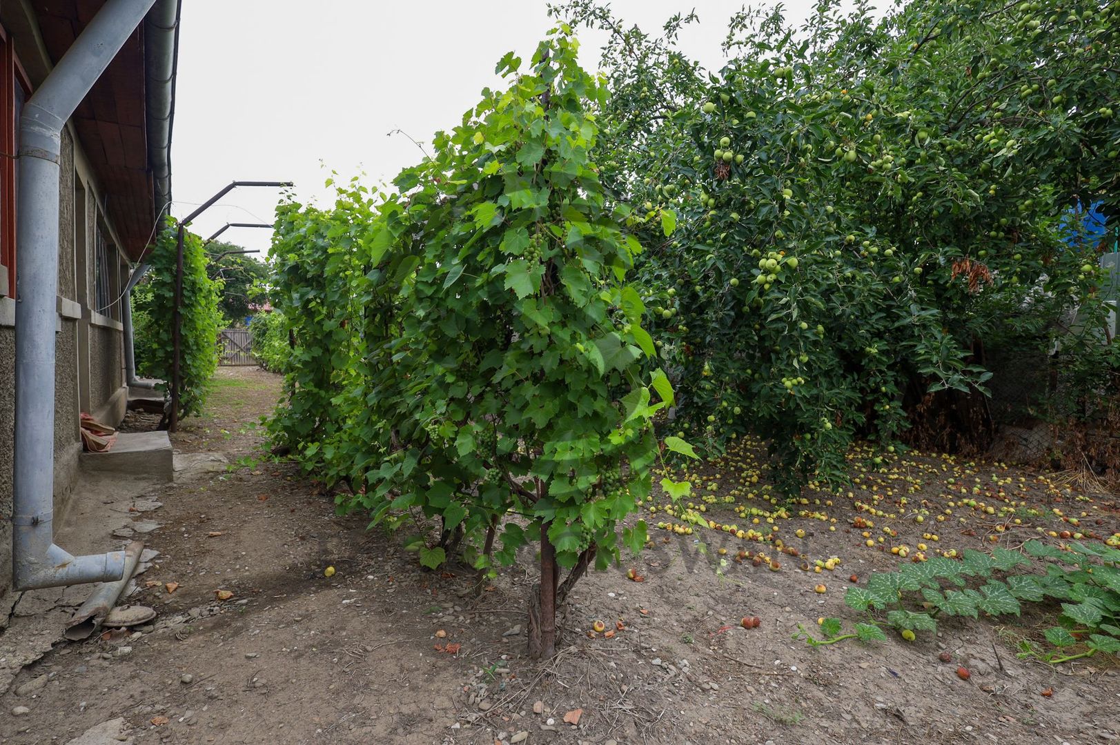 Casa cu 5 camere de vanzare | Dumbrava, Prahova I Comision 0% - Poză 17