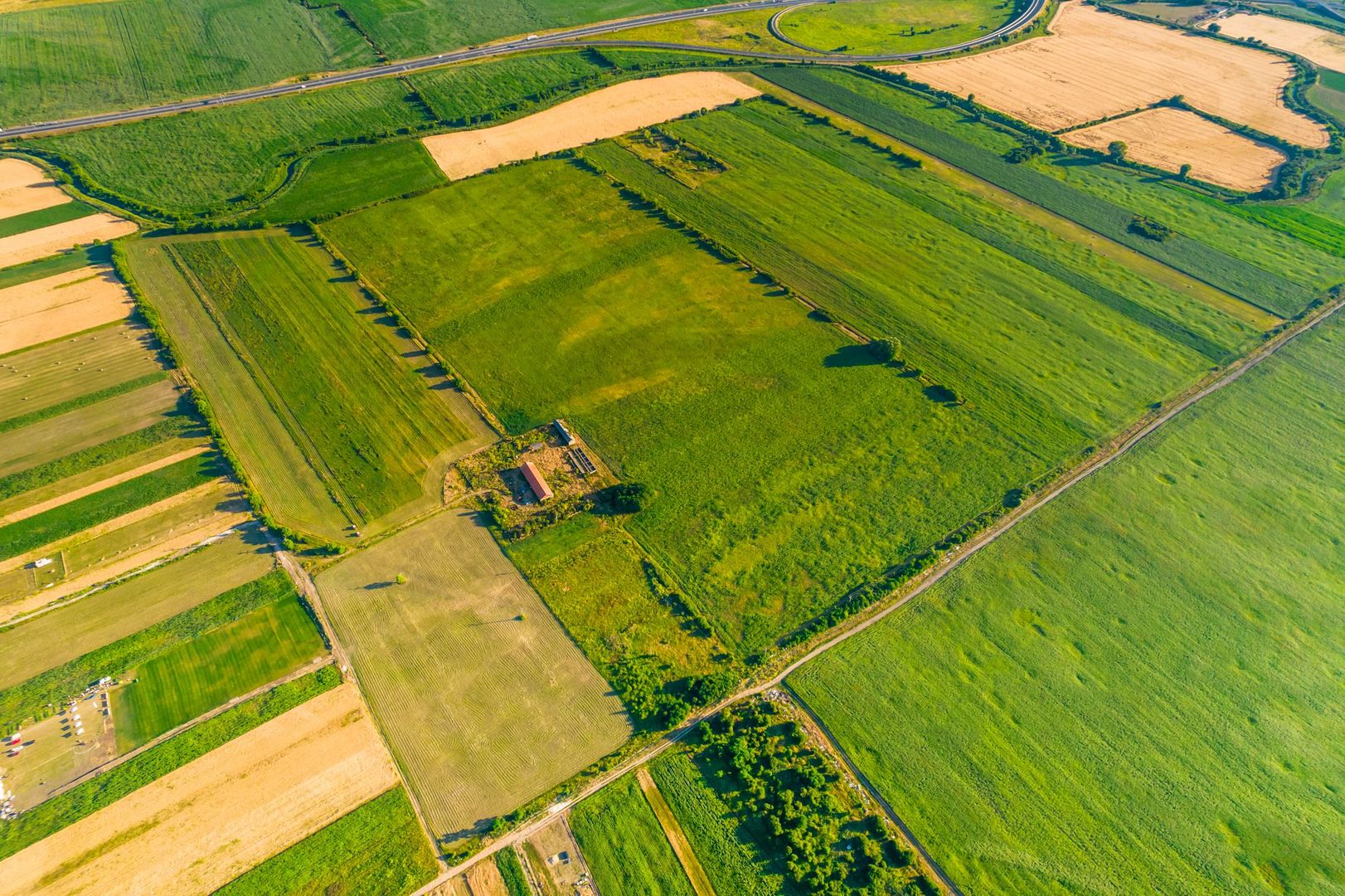 50 ha teren compact în Bujac - Poză 8