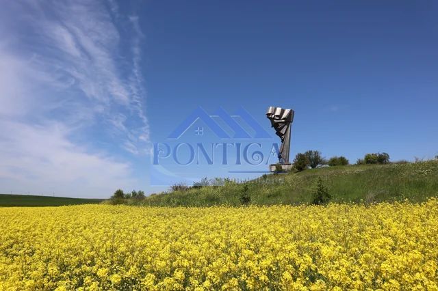 TEREN DE VANZARE - Poză 3