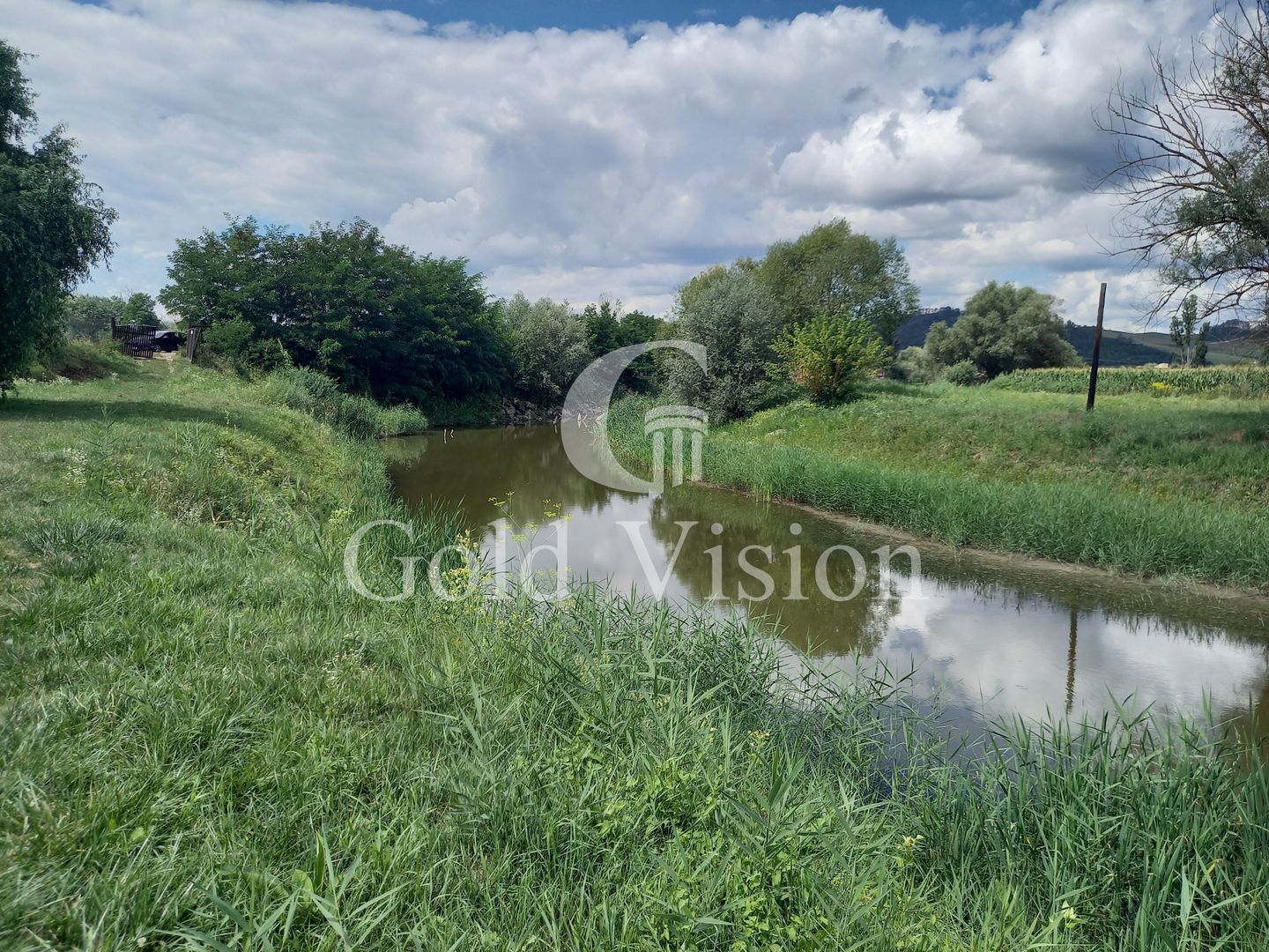 Teren Intravilan de 12.000 mp cu lac de 900mp,in Albesti-Sighisoara - Poză 4