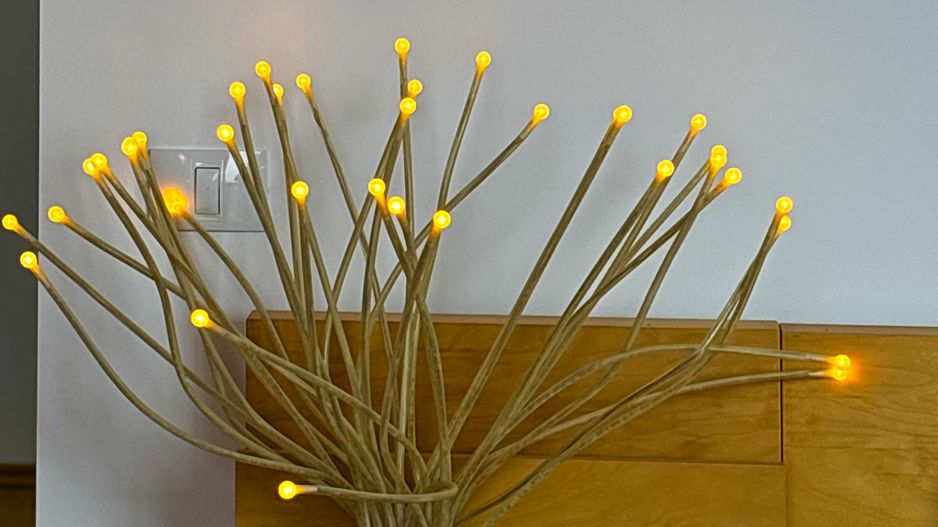 Închirie Penthouse 5 camere | Terasă 350mp - Poză 31