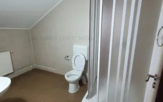 Barbu Vacarescu - Lacul Tei, vila moderna cu sistem de alarma - Poză 25