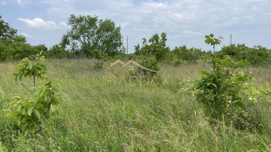 Teren intravilan***1439 mp***Cretesti-Vidra-Ilfov - Poză 17