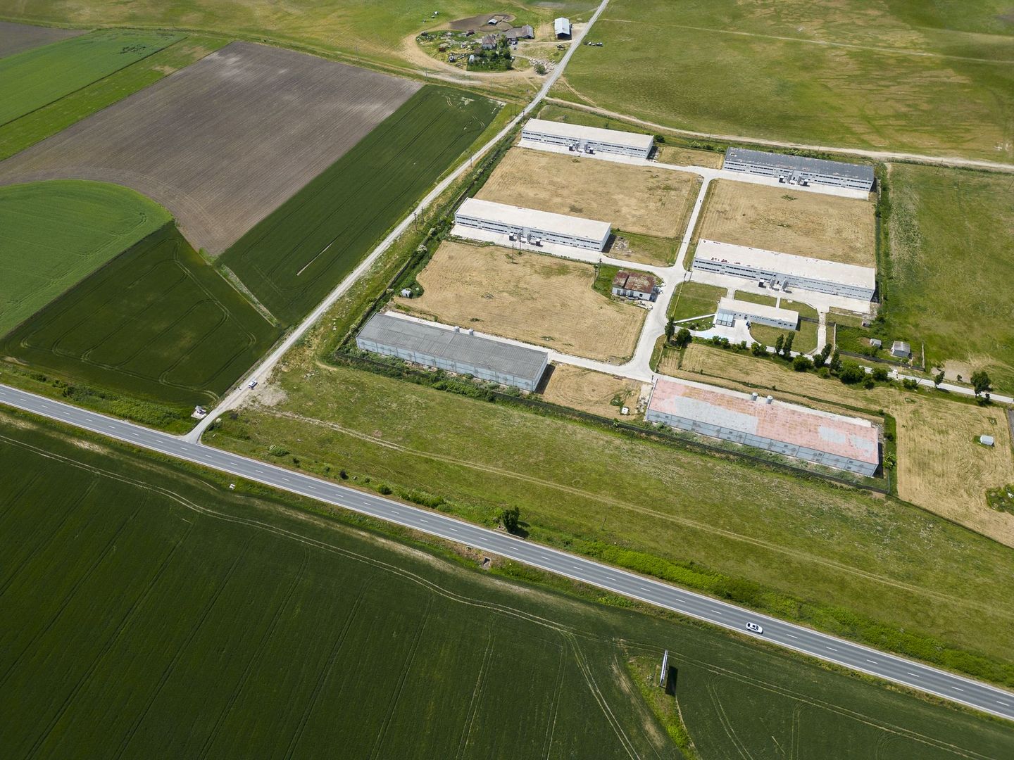 Teren Intravilan Investiții 11.600 mp Salonta - Poză 7