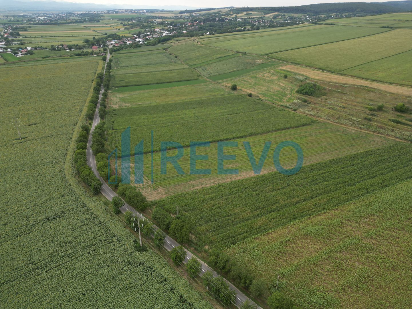 Teren de 4.400 mp Racova - Poză 4