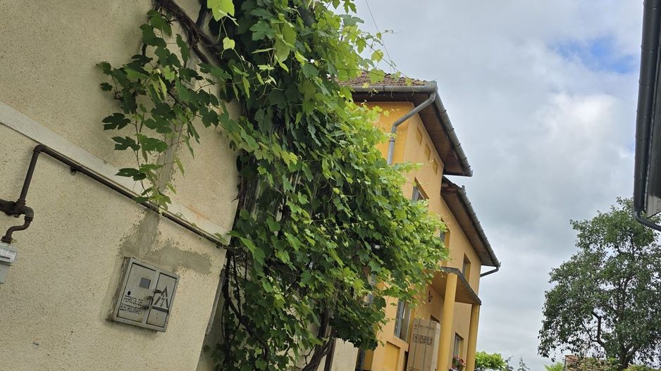 Ansamblu de 2 case  și teren 15 ari, Reghin - Poză 3