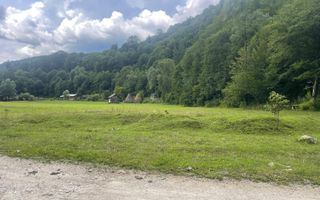 Teren pentru investiție turistică în Dâmbovicioara – Baranga | 4.500 mp | Front ~102 ml - Poză 2