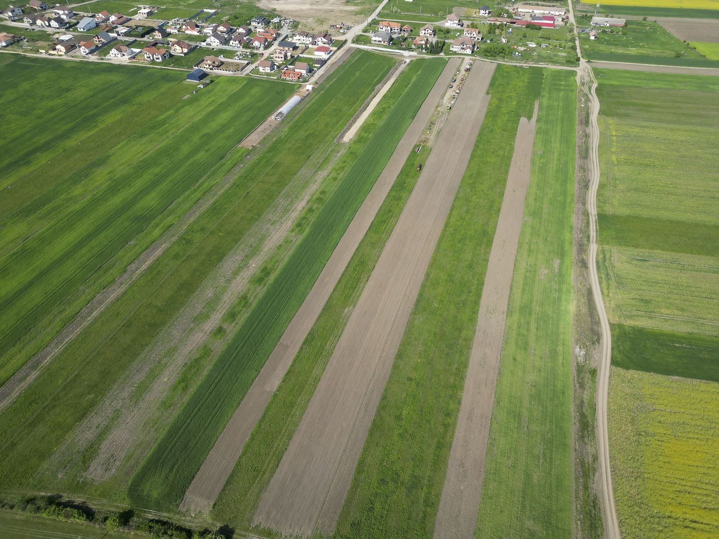 Loc de casa de 504 mp în Livada - Poză 4