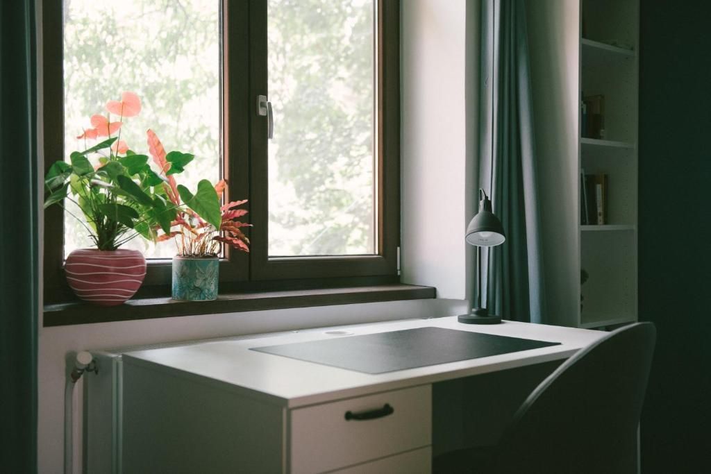 Iosefin-Sinaia | 3 Camere | Amenajat Modern. - Poză 9