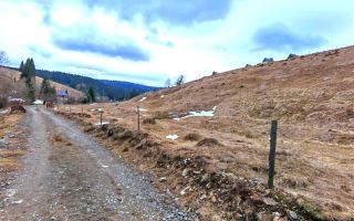 8.263 mp Teren cu Pârâu și Izvoare în Beliș-Fântânele, Cluj - Poză 6