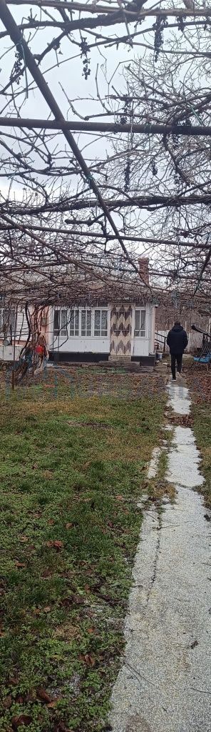Casă bătrânească și teren in Tomești - Poză 3