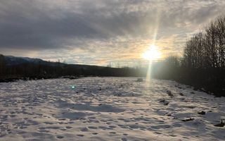 SUPEROFERTA  Teren Intravilian  Valea Avrigului Sibiu - Poză 10