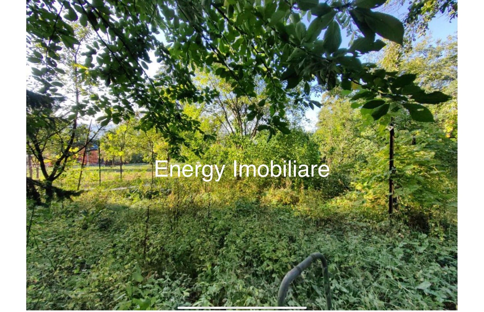 Teren de 500 mp, Platoul Cornești - Poză 7