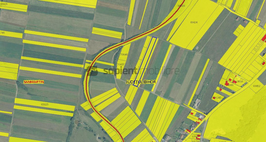 Sapient | Teren intravilan Cordau - Poză 5