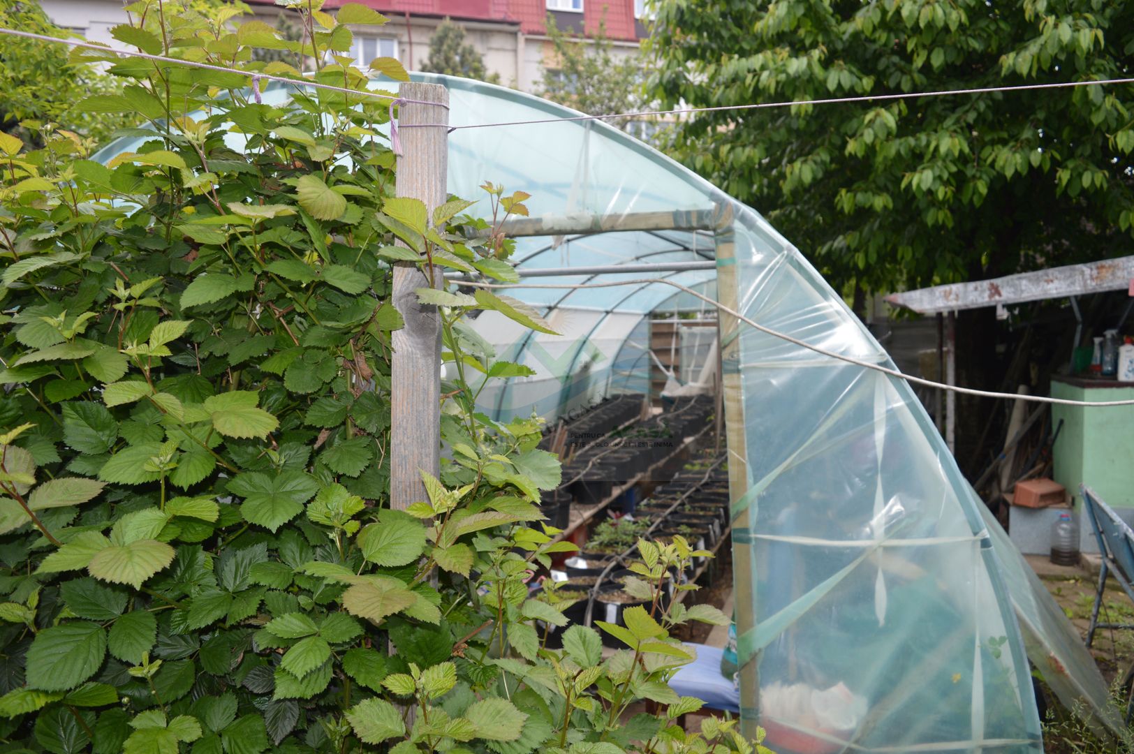 Casă tip duplex Suceava/Cartier Zamca Bloc 4 apartamente/Clinica - Poză 75