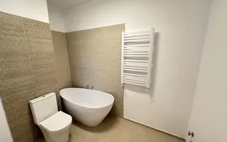 Apartament in vila renovat | Romana | Colegiul German Goethe | ASE - Poză 15