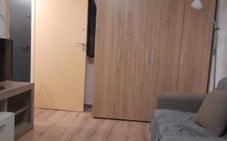 Garsoniera Crinul de Padure Parc Drumul Taberei - Poză 3