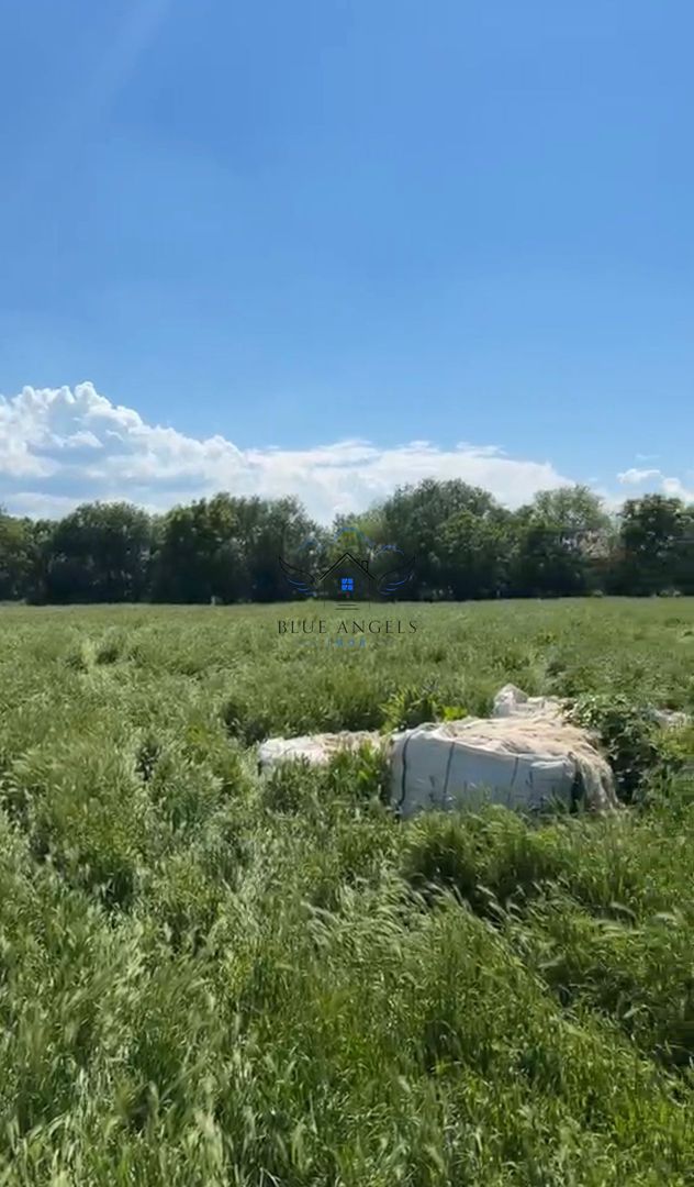 OPORTUNITATE lot de 1952mp in zona LIVADA, Sanpetru - Poză 4