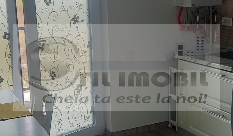 Apartament 1 camera Pacurari - 350 EURO - Poză 4