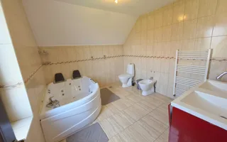 Casa 5 camere, mobilata, utilata,  427 mp teren, Barabant - Poză 16
